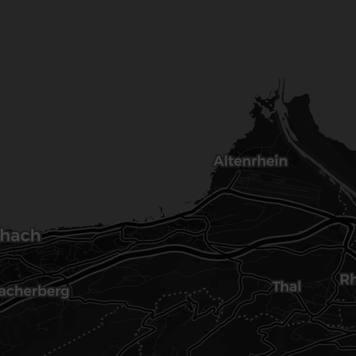 Kaart van Altenrhein Frauenpfahl 99