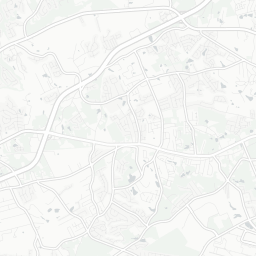 Lexington, SC Transit Map