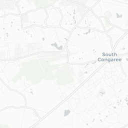 Lexington, SC Transit Map