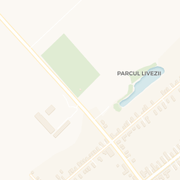Map - Peciu Nou