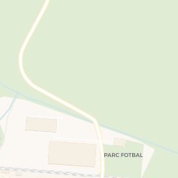Map - Săcălaz