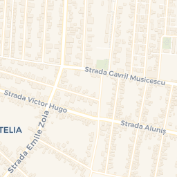Map - Chișoda