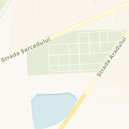 Map - Salonta