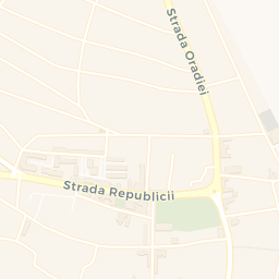 Map - Salonta