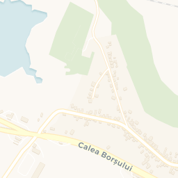 Map - Borş