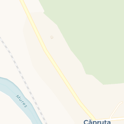 Map - Comuna Bârzava