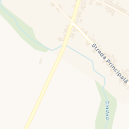 Map - Traian Vuia