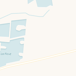 Map - Comuna Ineu
