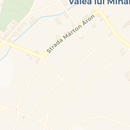 Map - Oraş Valea Lui Mihai