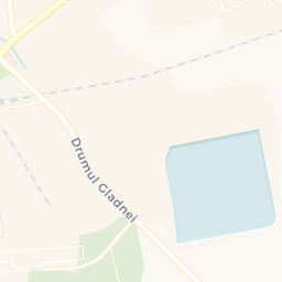 Map - Făget