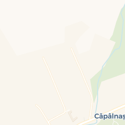 Map - Comuna Birchiş