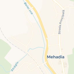 Map - Mehadia