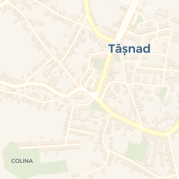 Map - Tăşnad