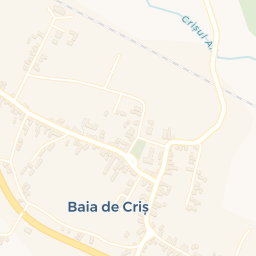 Map - Baia de Criş