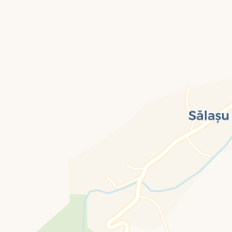 Map - Sălaşu de Sus