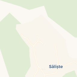 Map - Săliște
