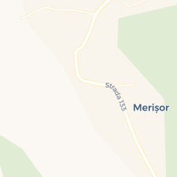 Map - Merișor