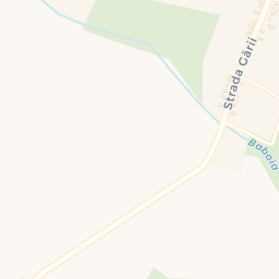 Map - Comuna Siliştea Crucii