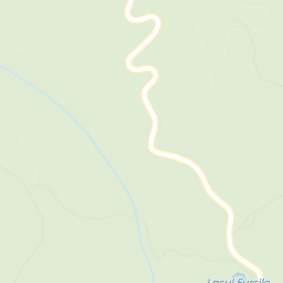 Map - Negreşti-Oaş