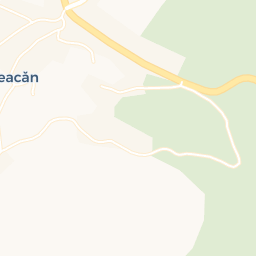 Map - Mesteacăn