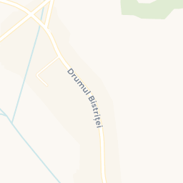 Map - Vultureni