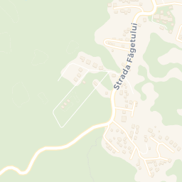 Map - Feleacu