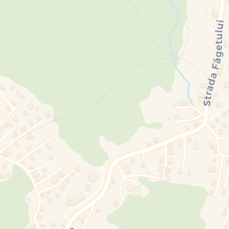 Map - Feleacu