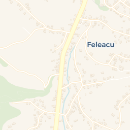 Map - Feleacu
