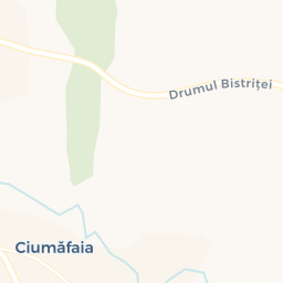 Map - Comuna Borşa