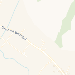 Map - Borşa