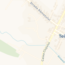 Map - Teiuş