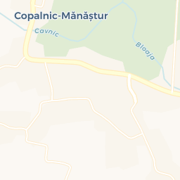 Map - Copalnic Mănăştur