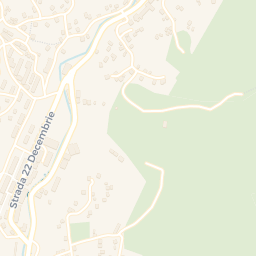 Map - Cavnic