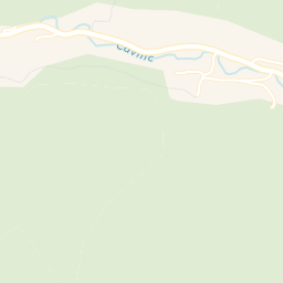 Map - Cavnic