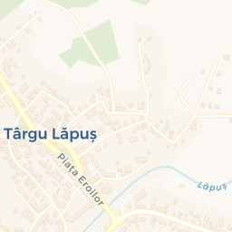 Map - Târgu Lăpuş