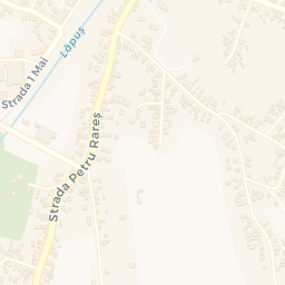 Map - Târgu Lăpuş