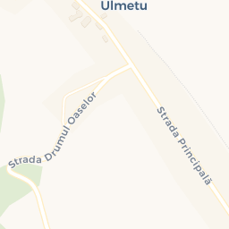 Map - Copăceni
