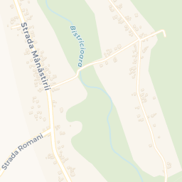 Map - Oraş Horezu