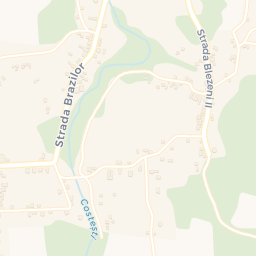 Map - Costeşti