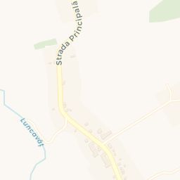 Map - Urși