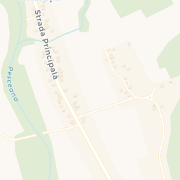 Map - Amărăşti