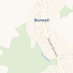 Map - Buneşti