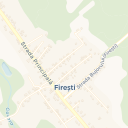 Map - Comuna Buneşti