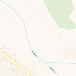 Map - Comuna Petrova