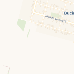 Map - Comuna Bucinişu