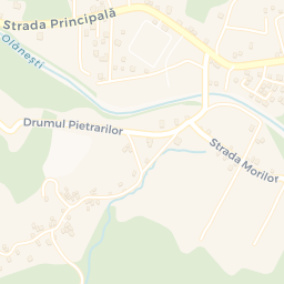 Map - Vlădeşti