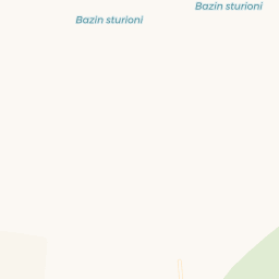 Map - Mihăeşti