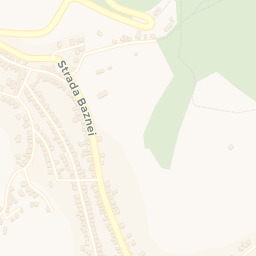 Map - Mediaş