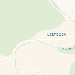 Map - Repedea
