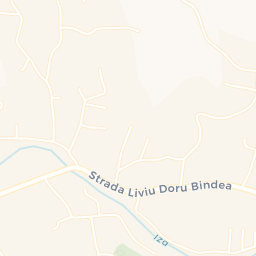Map - Săliştea de Sus